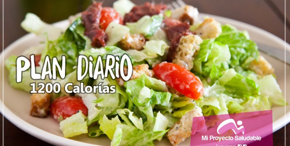 Plan Diaria