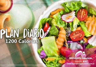Plan Diario de 1200 calorías