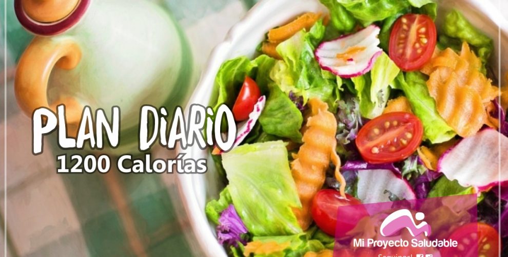 Plan Diario de 1200 calorías